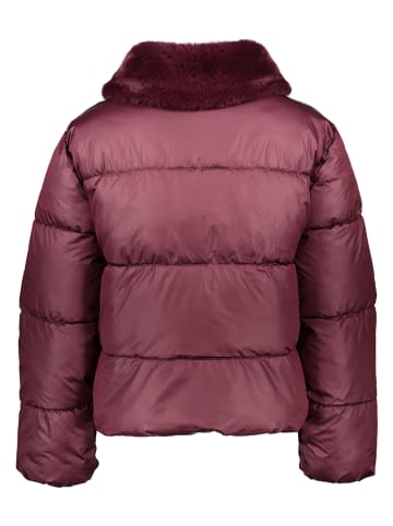 GAP Winterjas bordeaux