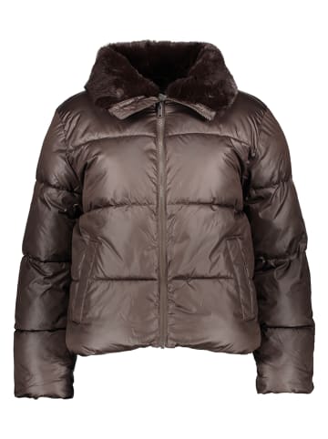 GAP Winterjas donkerbruin