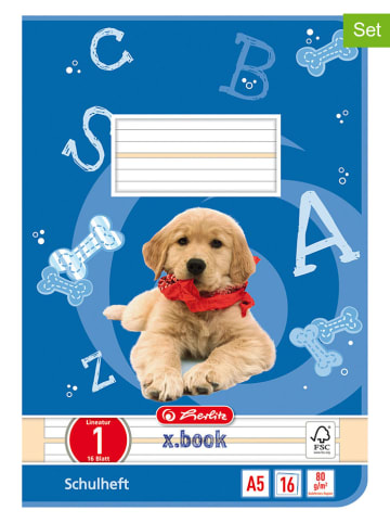 Herlitz 10er-Set: Hefte ''A5/16 Lin.01'' in Blau