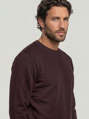 G-Star Sweatshirt bruin