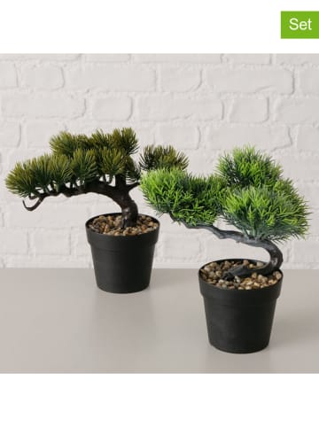 Boltze 2er-Set: Kunstpflanzen "Bonsai" in Grün - (B)18 x (H)22 cm