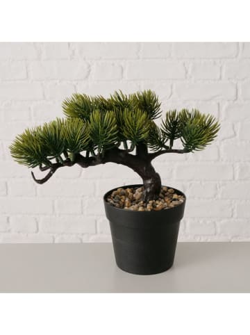 Boltze 2er-Set: Kunstpflanzen "Bonsai" in Grün - (B)18 x (H)22 cm