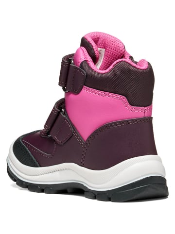 Geox Boots "Flanfil" paars/roze