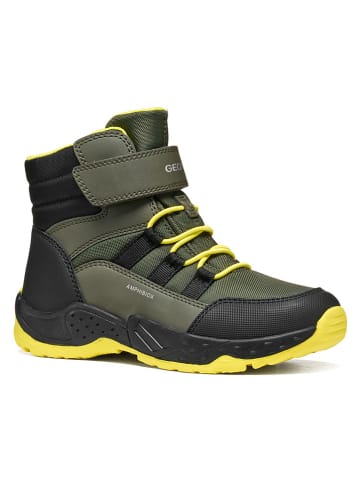 Geox Boots "Sentiero" in Khaki