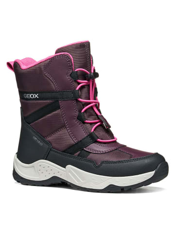 Geox Boots "Sentiero" in Lila