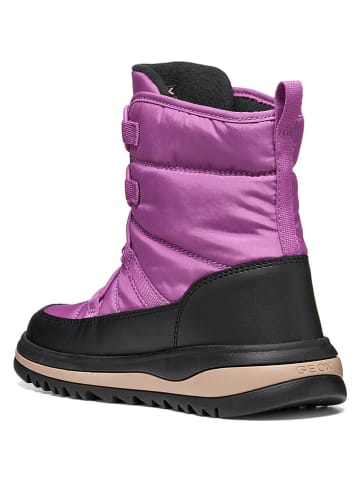 Geox Boots "Adelhide" in Lila/ Schwarz