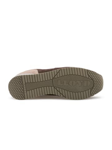 LLOYD Leder-Sneakers in Beige/ Braun