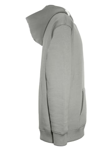 Blue Effect Hoodie grijs