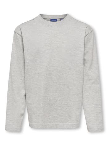 Longsleeve "Fred" grijs