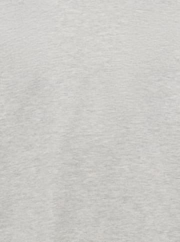 ONLY & SONS Junior Longsleeve "Fred" in Grau