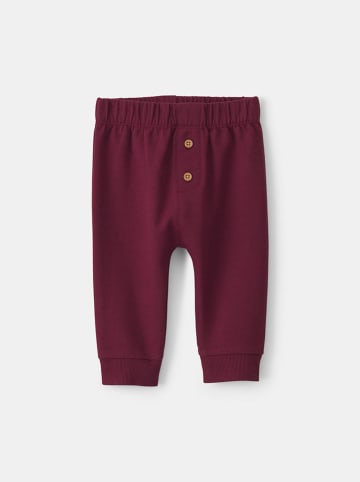 carter's 2-częściowy zestaw w kolorze bordowo-kremowym