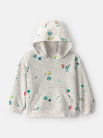 carter's Hoodie grijs grijs