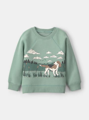 carter's Sweatshirt groen