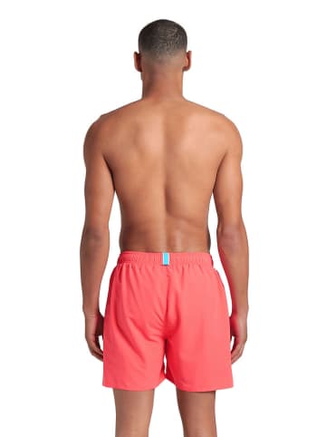 Arena Badeshorts in Koralle