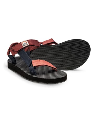 Hannah Trekkingsandalen in Schwarz