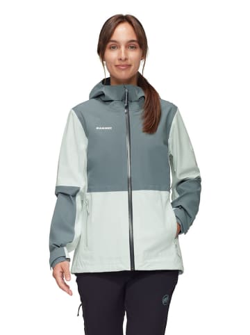 Mammut Functionele jas "Linard Guide HS" grijs