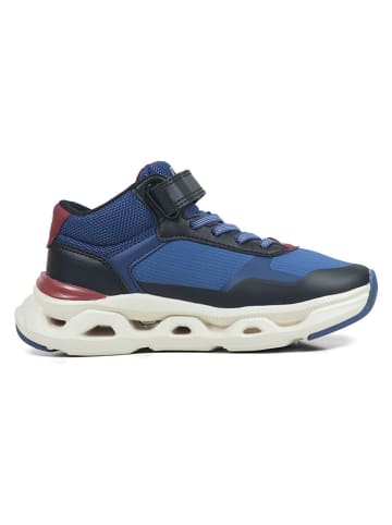 GAP Sneakers in Dunkelblau