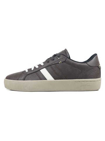 GAP Sneakers bruin