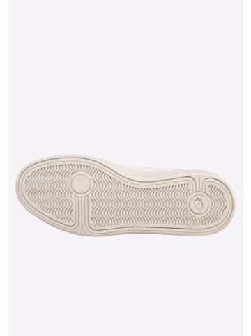 Lotto Sneakers in Creme