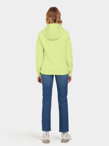 Didriksons Hoodie groen
