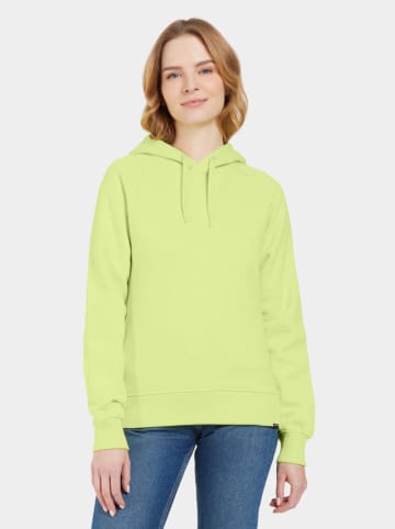 Didriksons Hoodie in Grün