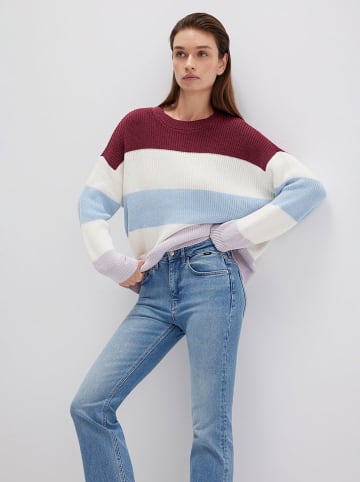 MAVI Trui bordeaux/wit/lichtblauw