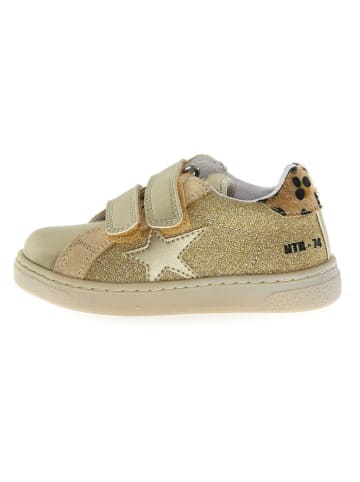 Naturino Leder-Sneaker "Pinn" in Gold
