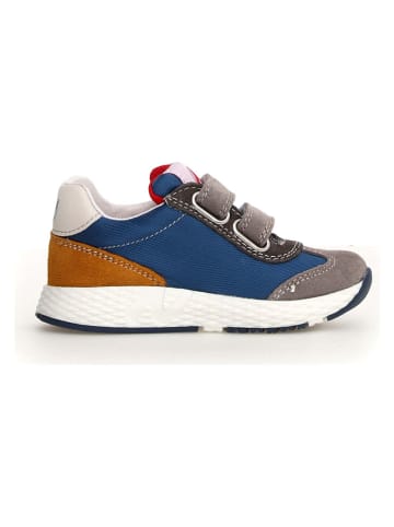 Naturino Leder-Sneaker "Jesko 2" in Grau