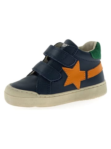Naturino Leder-Sneaker "Singery" in Dunkelblau