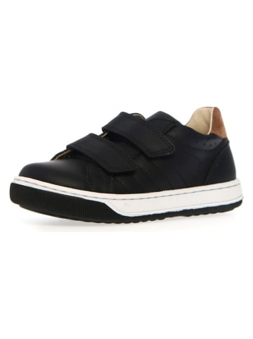 Naturino Leder-Sneaker "Nume" in Schwarz