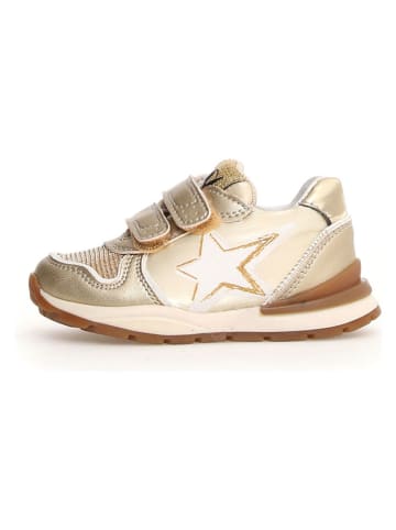 Naturino Leren sneakers "Roy 2" goudkleurig