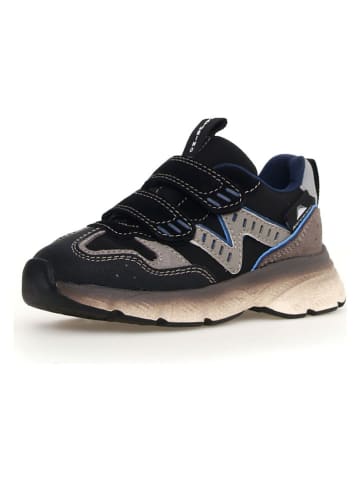 Naturino Sneakers "Wham" antraciet