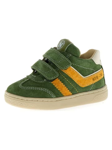 Naturino Leder-Sneaker "Marves" in Grün