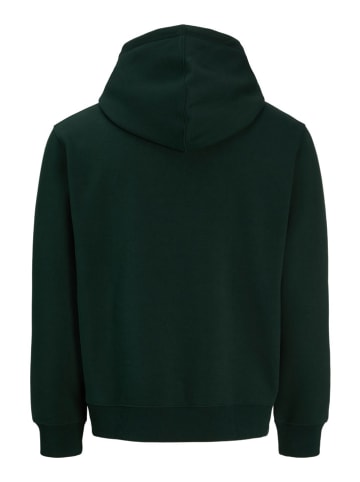 Jack & Jones Hoodie in Grün