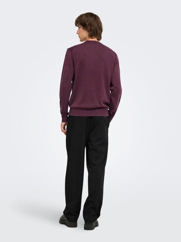 ONLY & SONS Trui pruimkleurig