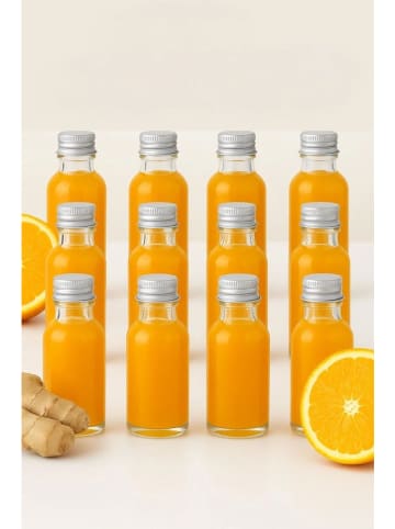 Hermia 12-delige set: Shotflesjes zilverkleurig - 30 ml