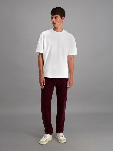 Pioneer Cordhose "Rando" - Regular fit - in Bordeaux