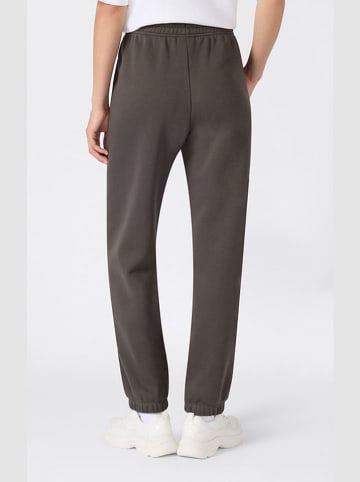 Champion Sweathose in Braun