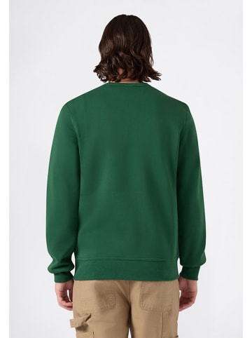 Champion Sweatshirt in Grün