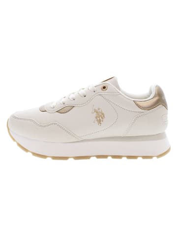 U.S. Polo Assn. Sneakers in Creme