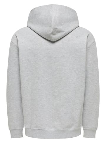 ONLY & SONS Hoodie "Dane" in Hellgrau