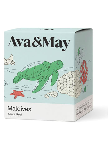 Duftkerze "Maldives" in Mint - 220 g