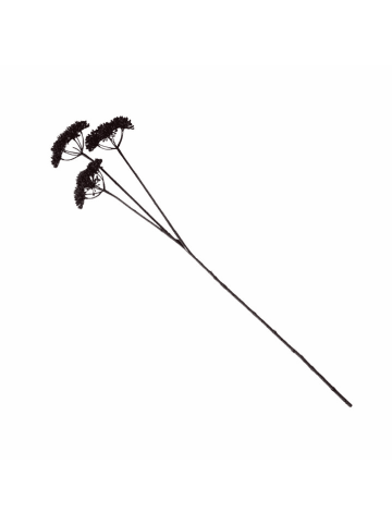 Boltze Gałązka dekoracyjna "Hogweed" w kolorze czarnym - wys. 86 cm