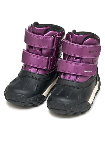 Geox Winterlaarzen "Trekkyup" paars/zwart