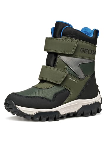 Geox Kozaki zimowe "Himalaya" w kolorze khaki