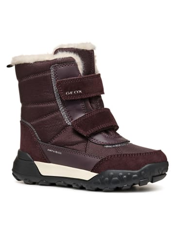 Geox Winterstiefel "Trekkyup" in Braun