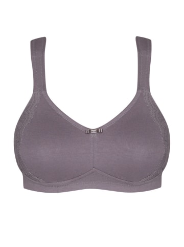 SUSA Minimizer-BH in Flieder