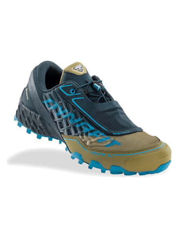 DYNAFIT Laufschuhe "Feline" in Dunkelblau