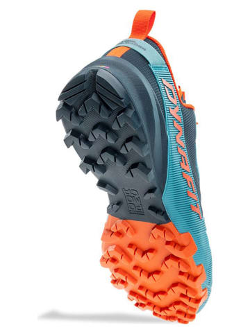 DYNAFIT Buty "Traverse" w kolorze niebieskim do biegania