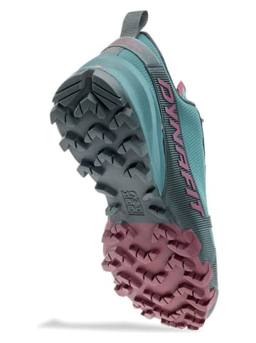 DYNAFIT Laufschuhe "Traverse" in Blau